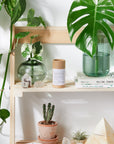 Non-Nano Zinc Oxide Sunscreen SPF 45