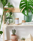 Non-Nano Zinc Oxide Sunscreen SPF 45