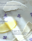 Tallow Skincare Kit for Face