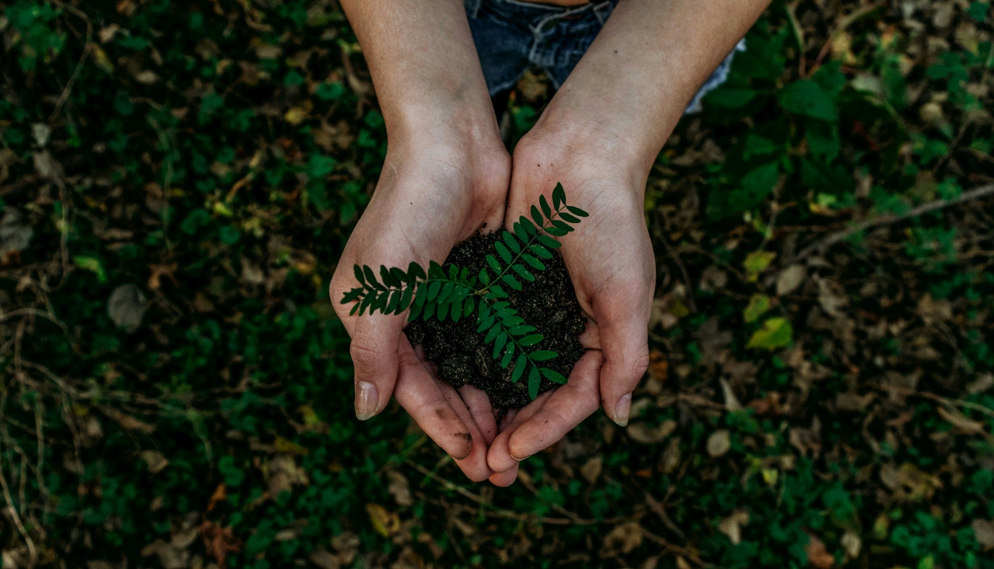 Eco-Friendly Beauty Practices for a Healthy You and Planet