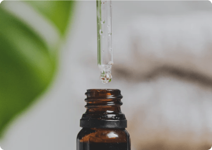 Unveiling Nature's Bounty: Top 25 Ingredients for a Thriving Organic Skincare Routine - Nature's Glow Emporium