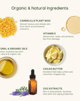 Organic 100% Plant-Based Lip Balm