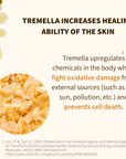 Anti-Aging Tremella & Reishi Mushroom Face Oil Serum